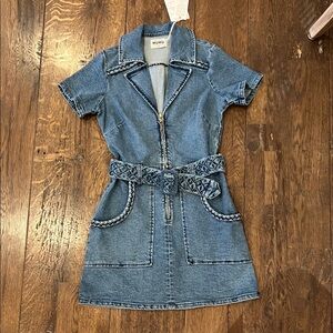 Show Me Your MuMu Blue Denim Mini Dress